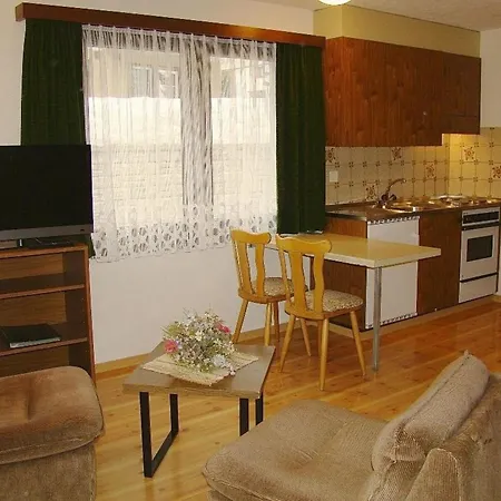 Mikado Appartement-fewo 2-bettwohnung Nr- 3 By Interhome Apartment Saas-Fee